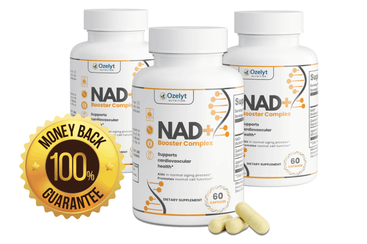 Ozelytnad free shipping